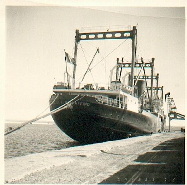 SCHIAFFINO A QUAI D ORAN.JPG